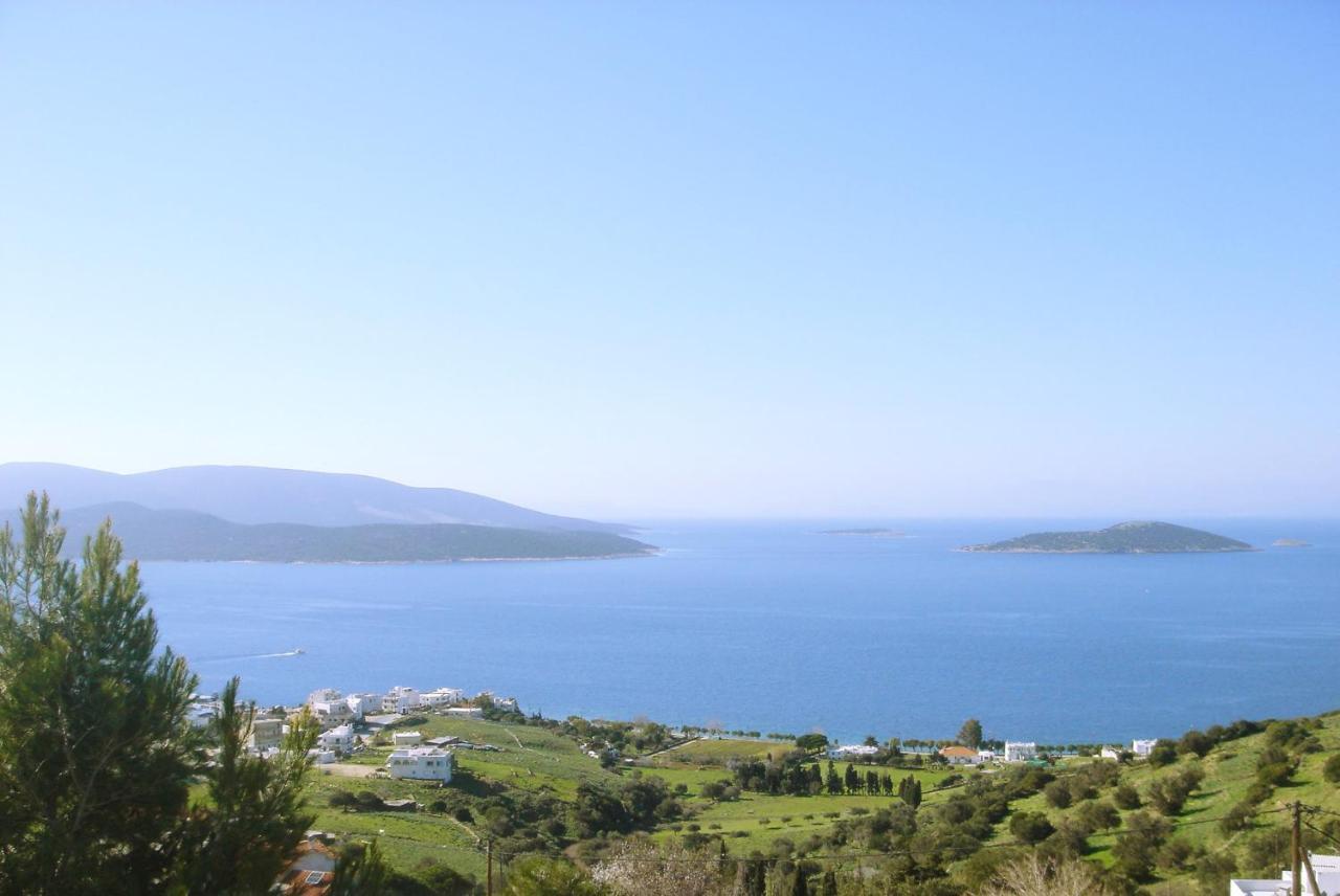 Marmari View Villa Bagian luar foto